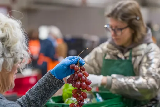 Zwei Damen sortieren Obst. Hochgehalten wird eine Traubenrebe.