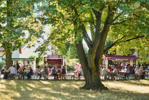 Menschen sitzen an langen Tischen unter schattigen Bäumen und genießen Wein und passende Snacks auf einem lebendigen Weinmarkt mit Genusshandwerker‑Ständen im Hintergrund