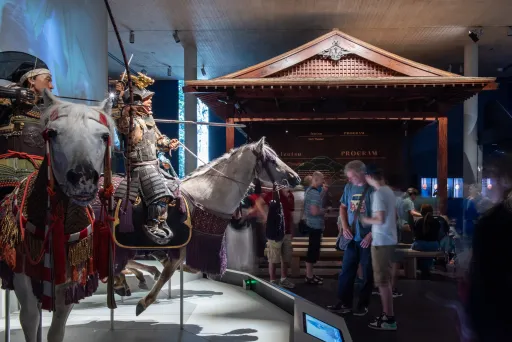 Ritterrüstungen auf Pferden in einem Museum, Besucher betrachten die Ausstellung.