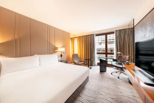 King Guestroom 