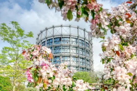  Gasometer des EUREF Campus in Schöneberg