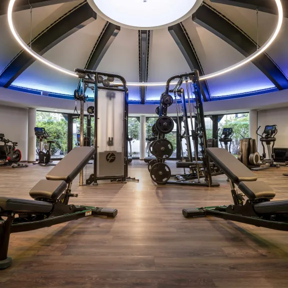 Modernes Fitnessstudio mit Trainingsgeräten, Hantelbänken und blau beleuchteter Decke.