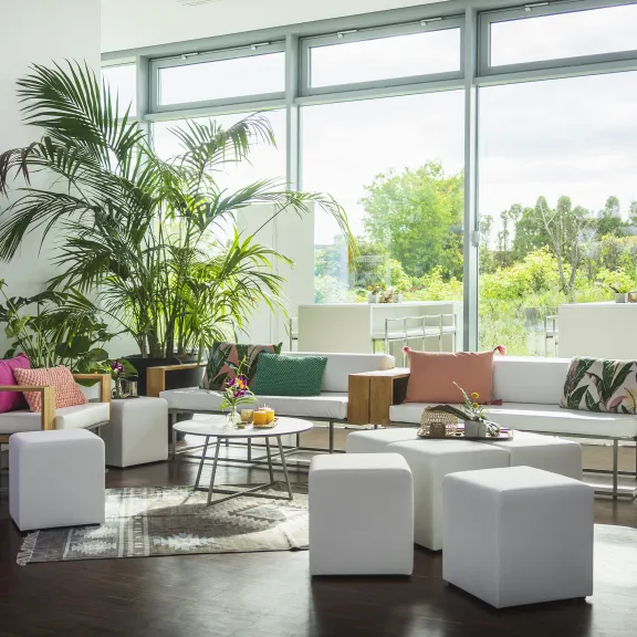 Helles Wohnzimmer mit modernen weißen Möbeln, Pflanzen und großen Fenstern.